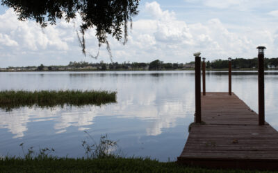 Tranquil Living: Palm Shores Mobile Home Park in Lake Alfred, Florida